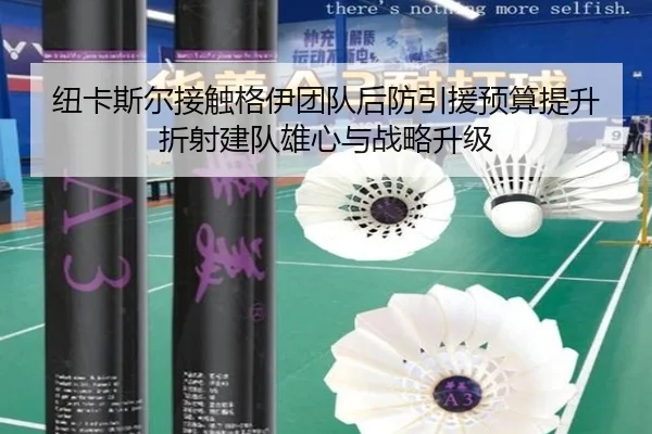 纽卡斯尔接触格伊团队后防引援预算提升折射建队雄心与战略升级